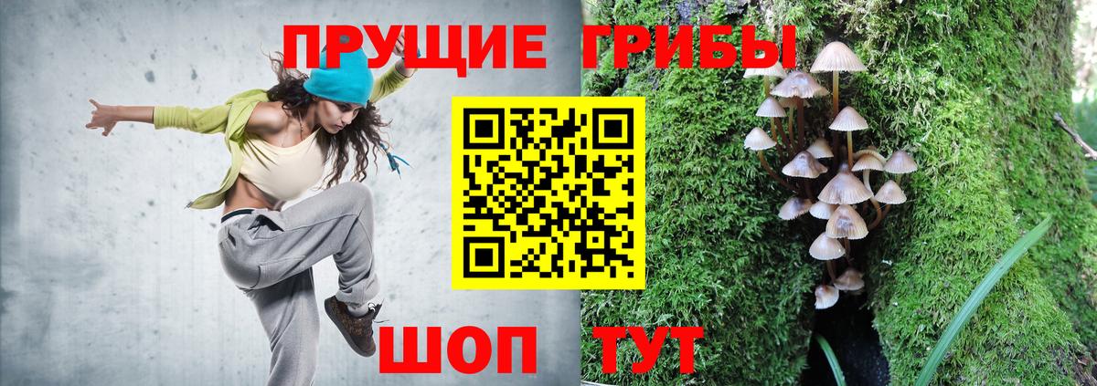 Галлюциногенные грибы MAGIC MUSHROOMS Ухта